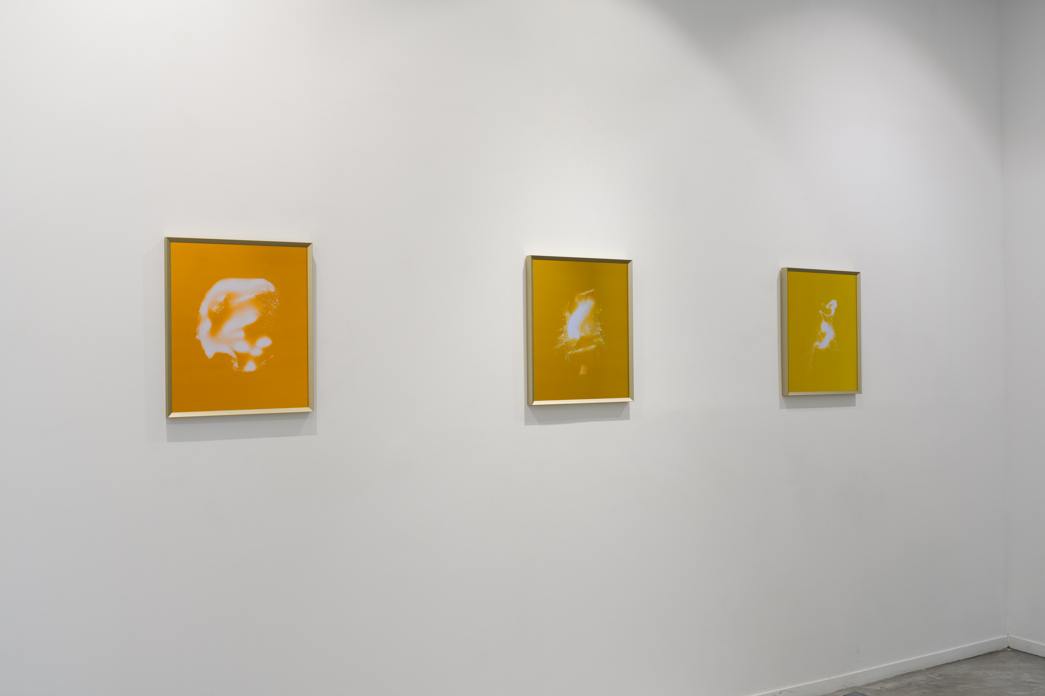 <p>Conception</p>
